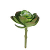 image variant Verde
