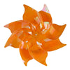 image variant Nar Opaco Ab