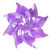image variant Morado Ab