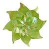 image variant Limon Ab