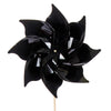 image variant Negro