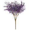 image variant Morado