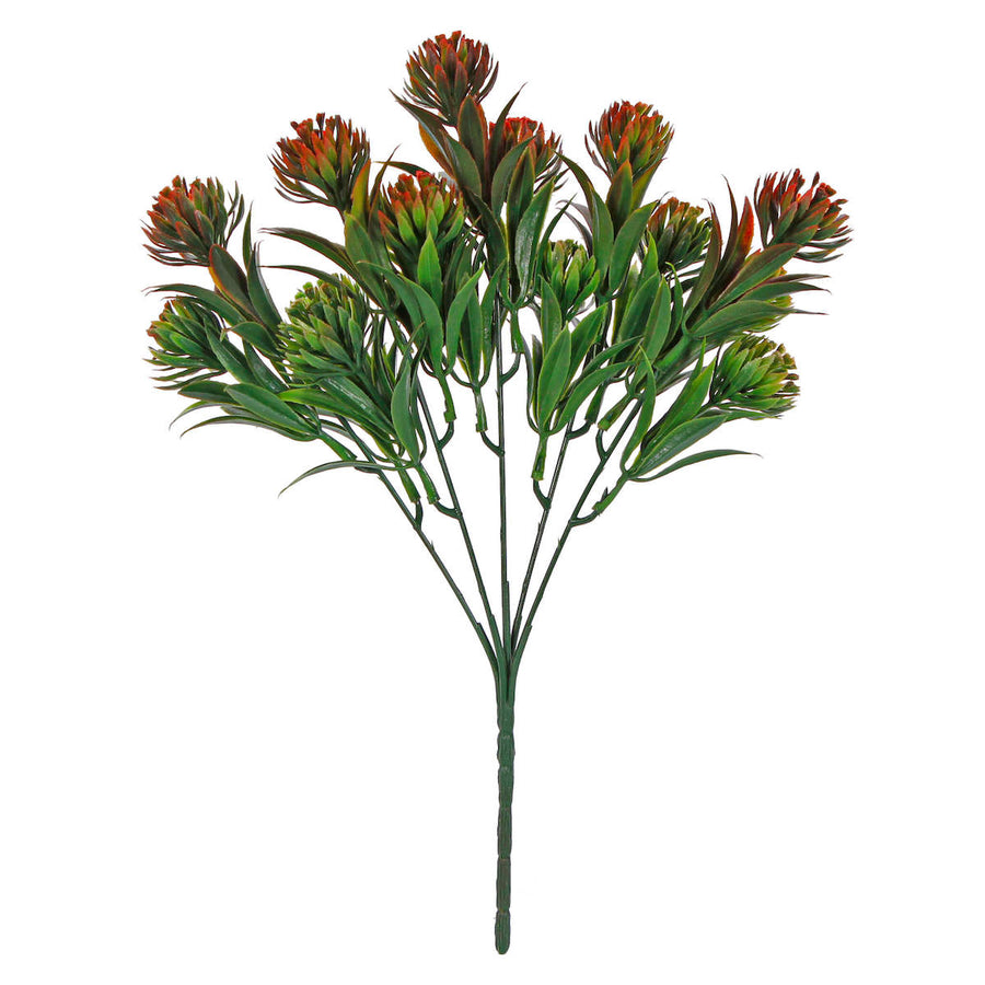 Art.2568 Plantita X5 Col Esp 36cm