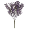 image variant Lavanda