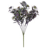 image variant Lavanda