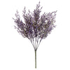 image variant Lavanda