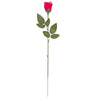 image variant Rosa