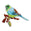 Fantasías Miguel Art.2786 Aplicación Bordada Para Planchar Pájaro 6x9cm 1pz Multi-Color