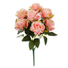 image variant Rosa