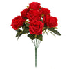 image variant Rojo