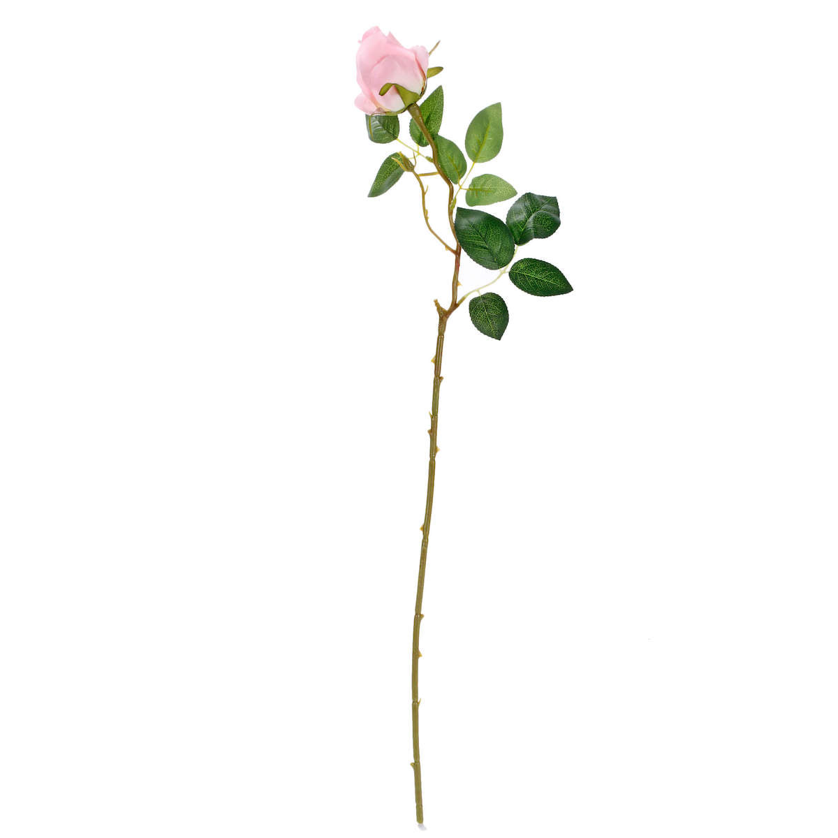 Botón De Rosa Fino 65cm | Fantasias Miguel – Fantasías Miguel