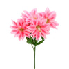 image variant Rosa