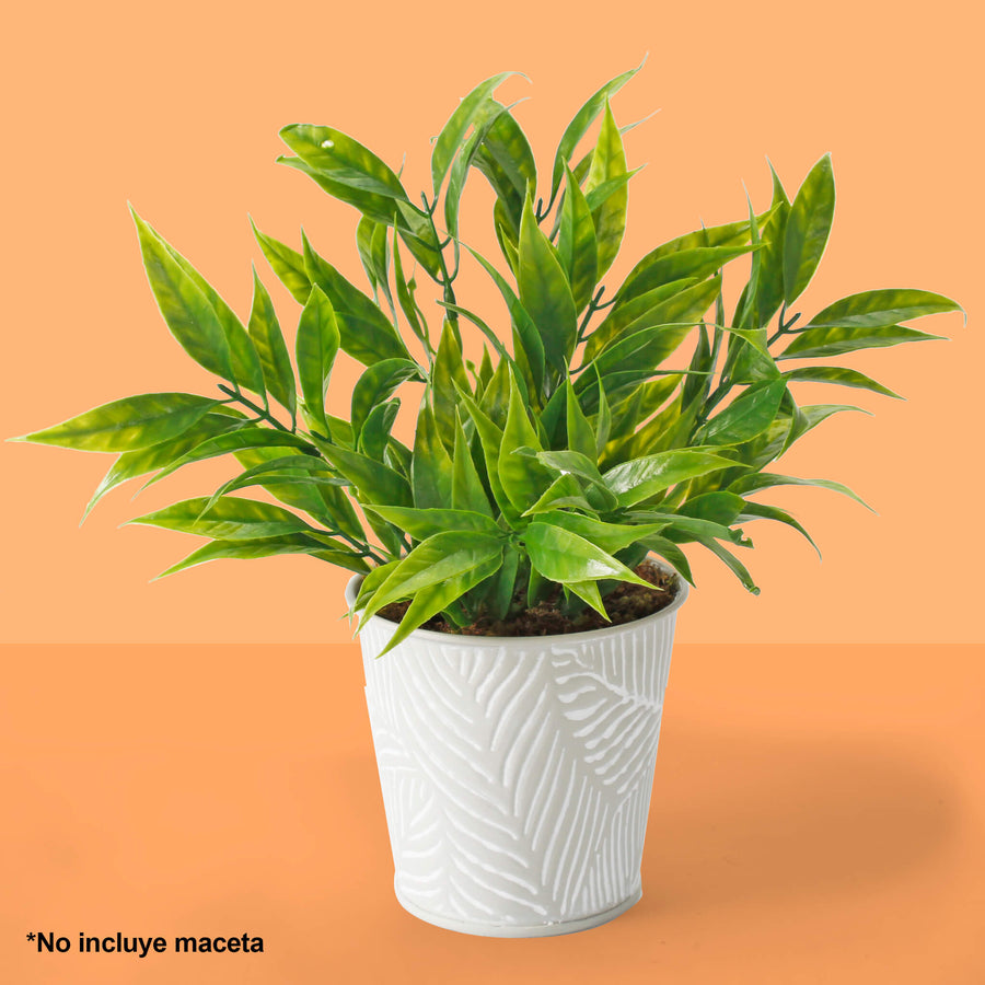 Art.2944 Planta Fina x5 33cm 1pz