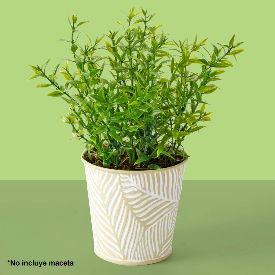 Art.2983 Planta Fina x6 36cm 1pz