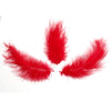 image variant Rojo
