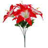 image variant Rojo/Crema