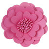 image variant Rosa