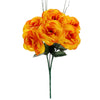 image variant Naranja