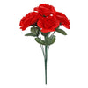 image variant Rojo