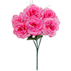 image variant Rosa