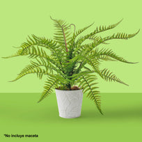 Art.3479 Planta Helecho 61cm 1pz