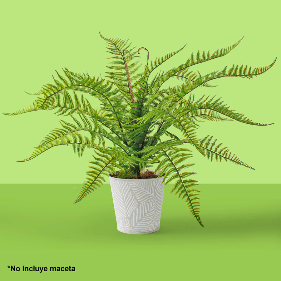 Art.3479 Planta Helecho 61cm 1pz