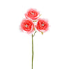 image variant Rosa