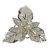image variant Plata/Cristl