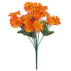 image variant Naranja