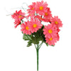image variant Rosa