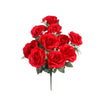 image variant Rojo