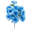 image variant Azul