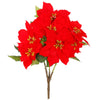 image variant Rojo