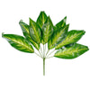 image variant Verde