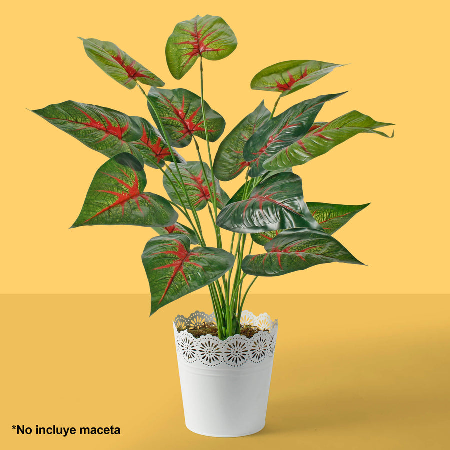 Art.3866 Planta Fina x18 60cm 1pz