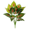 image variant Verde