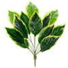 image variant Verde