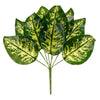 image variant Verde