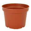 image variant Terracota