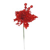 image variant Rojo