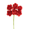 image variant Rojo