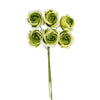image variant Menta
