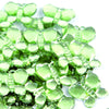 image variant Menta