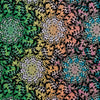 image variant 149