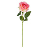 image variant Crema/Rosa