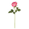 image variant Rosa Malva