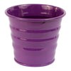 image variant Morado