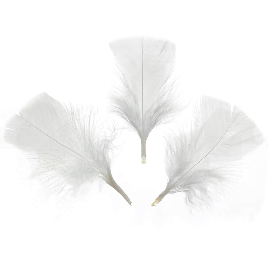 Art.4687 Pluma