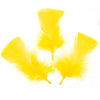 image variant Amarillo