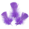 image variant Morado